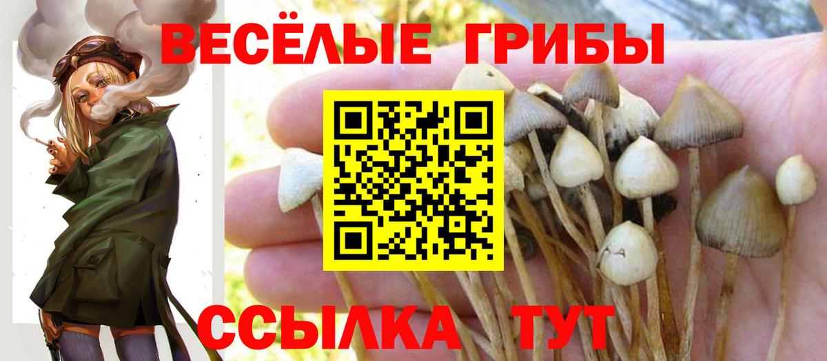 Галлюциногенные грибы прущие грибы Евпатория
