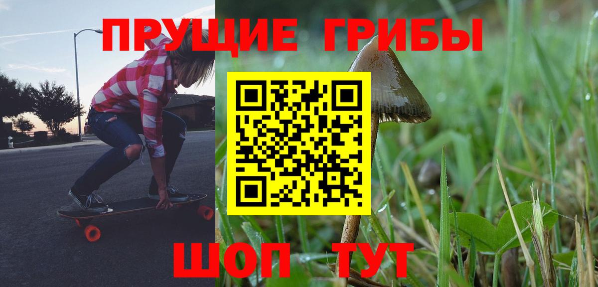 Галлюциногенные грибы GOLDEN TEACHER  Галлюциногенные грибы прущие грибы  закладки  Евпатория  Вход с VPN 